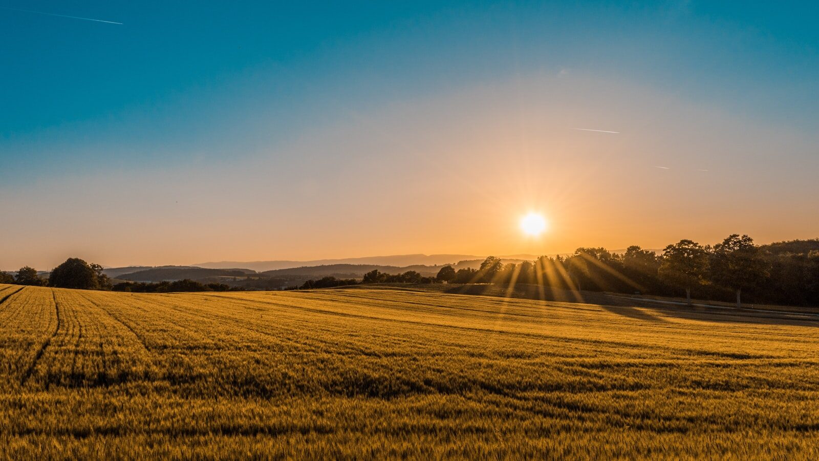 Campos dorados al atardecer en el paisaje agrícola del Montsià